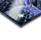 Rainy Day Salsify Acrylic print