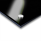 Tulipa Acrylic print