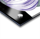 Purple Urchin Acrylic print