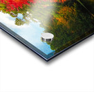 Fiery Maple Acrylic print