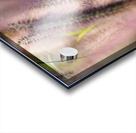 Summer Breeze Acrylic print