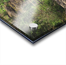 West Fork Bridge Acrylic print