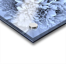 Devotion Acrylic print