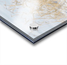 Winter Goose Acrylic print