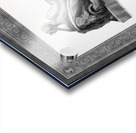 Back view of Venus Reclining Accompanied by Cupid by Antonio Canova Classical Fine Art Xzendor7 Old Masters Reproductions Acrylic print