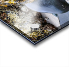 Sea Coast Acrylic print