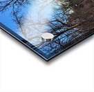 Springside Park Trail - Napanee Acrylic print