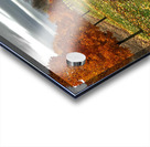 Fall Colours Acrylic print