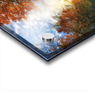 Fall Trail Acrylic print