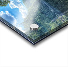 Canyon Reflection Acrylic print