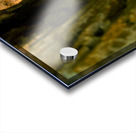 Gem   FINAL JPG Acrylic print