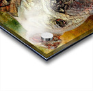 Portrait Of An English Bulldog Acrylic print