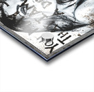 THE DREAMER Acrylic print