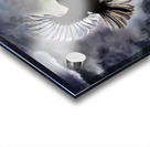 freedom1 Acrylic print