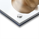 GoldenNude1 Acrylic print