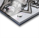 HeyHeyHey17x14 Acrylic print