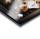 Lady Elizabeth Christiana Hervey by Angelica Kauffman Classical Fine Art Xzendor7 Old Masters Reproductions Acrylic print