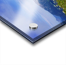 Flowers on Top of the World at Mount Kehlstein in Berchtesgaden in Bavaria Germany Acrylic print