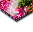 Spring Tulips After the Rain Long Exposure 10 of 16 Keukenhof Netherlands Acrylic print