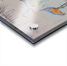 Sandhill Cranes at Sunrise Acrylic print