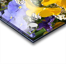 8A15EAFD 0E52 4A96 AD6F 6268405FBCF6 Acrylic print