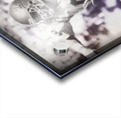 Troy Aikman UCLA Football Photo Art Acrylic print