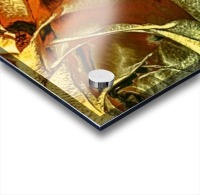 Just Golden Acrylic print