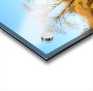 Warm and Cool - fall colors reflected on frozen pond Acrylic print