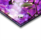 Spring  Acrylic print