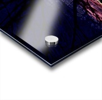 Sunset Branches Acrylic print