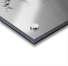 Mist over the lake 2021 Acrylic print