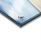 birds at the seaside Acrylic print