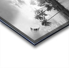 The Black and White Collection 115 for the Rare Masters Series Limited Patron Edition Printing of 50 Acrylic print