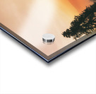 Nature sauvage Acrylic print