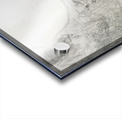 Save the Rhino Acrylic print