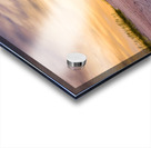 Stroll Through Vast Sand Dunes Acrylic print