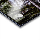 Bridalveil Roaring River Acrylic print