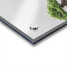 Display of Three Bonsai Trees Acrylic print