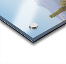 Saguaro National Park Acrylic print