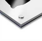 Black and White Screech Owl Silhouette  Acrylic print