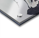 Bird flying over the Mountains in Patagonia Acrylic print