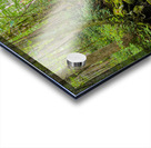 Tranquil stream in the Great Smoky Mountains  Acrylic print