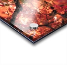 Vibrant Fall Tree Acrylic print