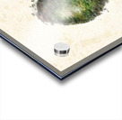 Avocado Acrylic print