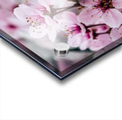 Floral Dream Acrylic print