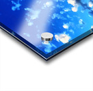 Just Need Bombers Acrylic print