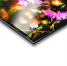 Happy Honey Bee Acrylic print