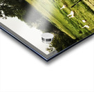 Slow Down Acrylic print