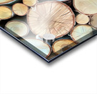 Wood You Like To See Inside Acrylic print