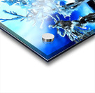 Frozen Bachelors Acrylic print